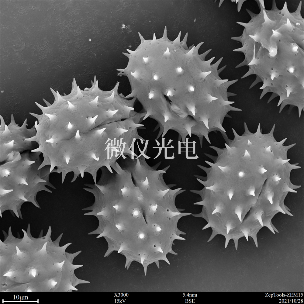 掃描電鏡測樣，要注意什么？